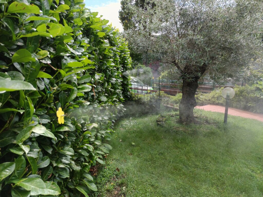 Dimentica di averlo